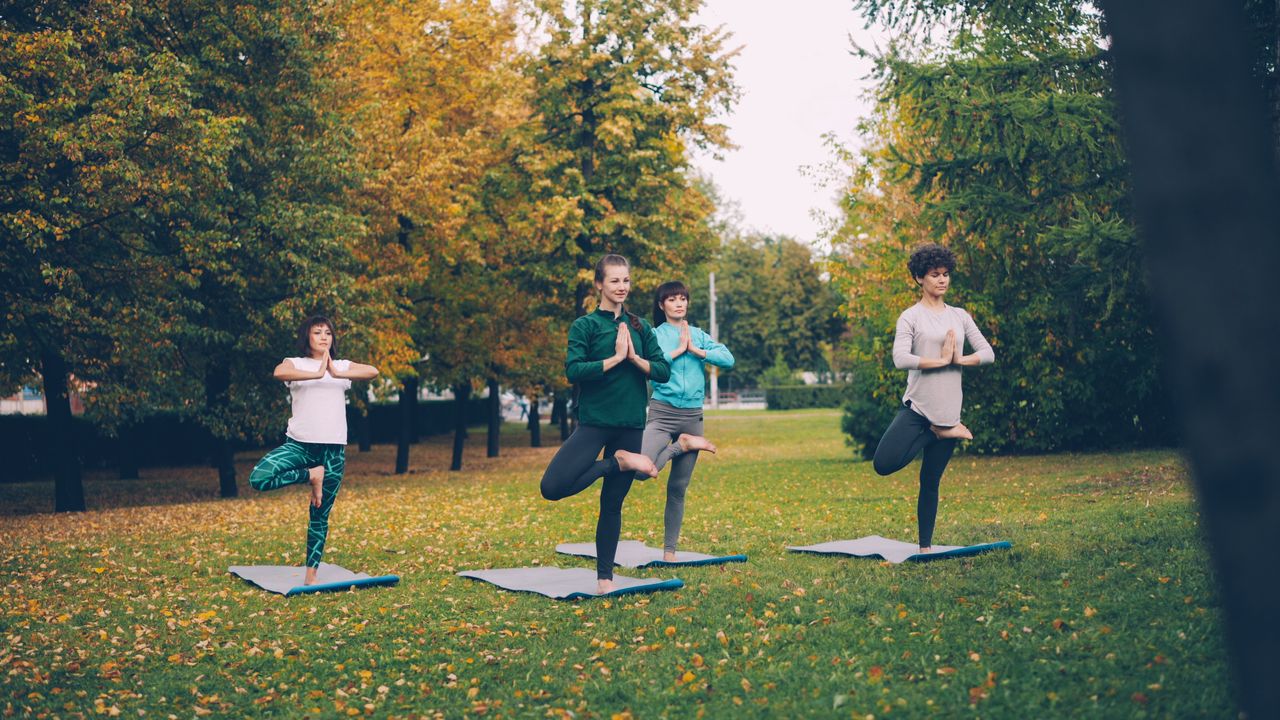 Four people doing yoga in a park surrounded by autumn trees.